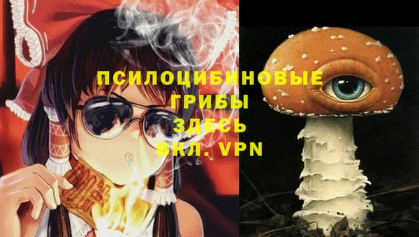 ECSTASY Елизово