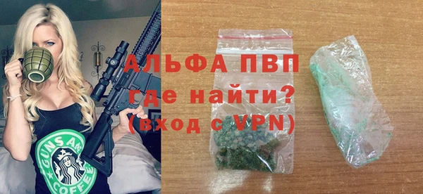 ECSTASY Елизово