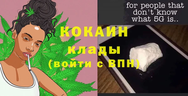 ECSTASY Елизово