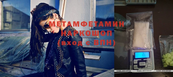 прущие грибы Заводоуковск
