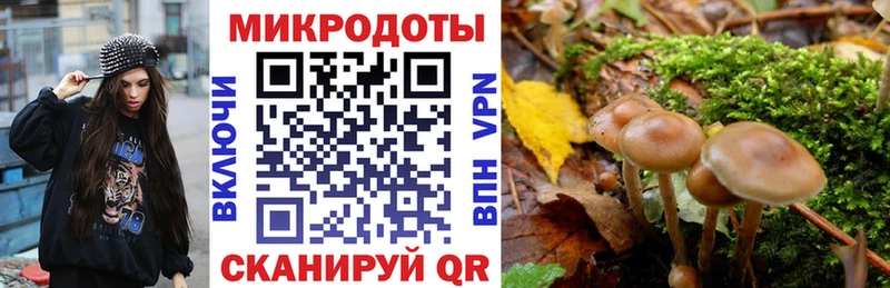 Купить где  Звенигород  Галлюциногенные грибы Magic Shrooms 